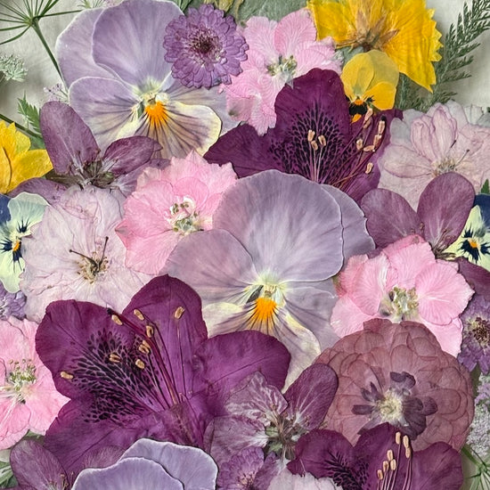 Řekni rododendron