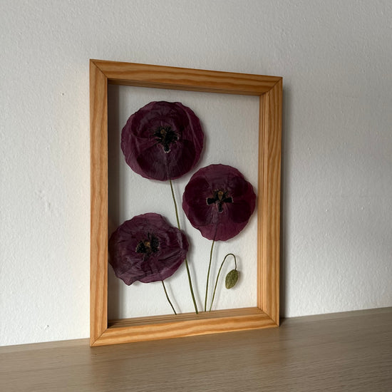 My tři, máci, jdeme k vám