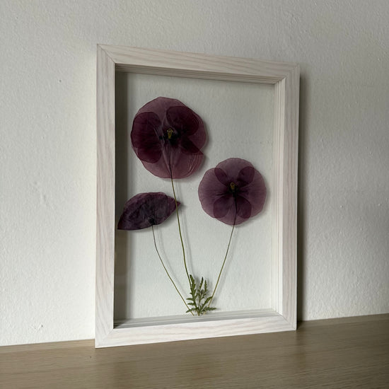 Na louce máky natrhané