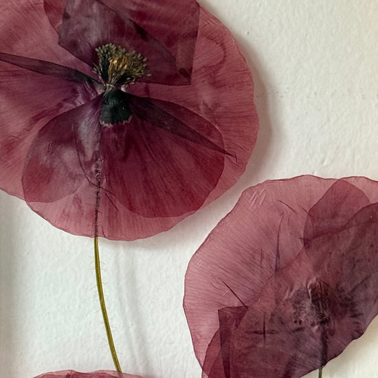 Pro mou milou makovou panenky