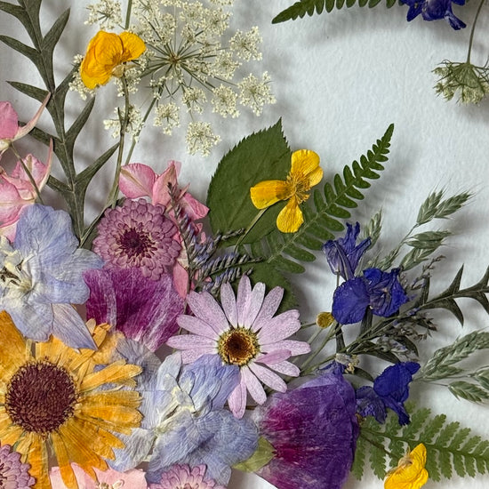 U chaloupky roste kvítí