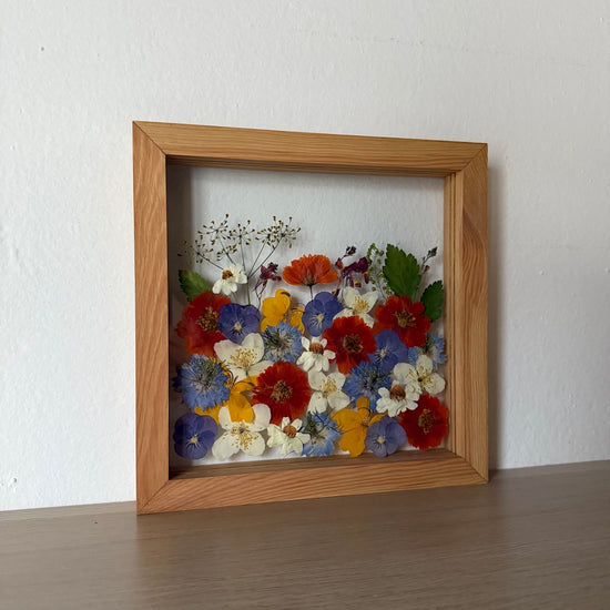 Nebe plné hřejivých barev