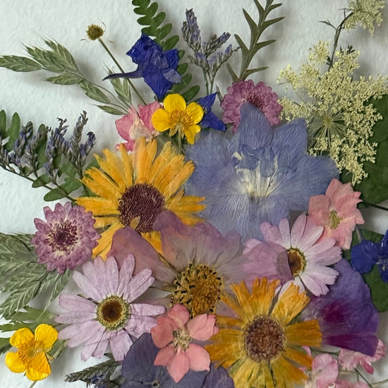 Lesnímu světu na dosah