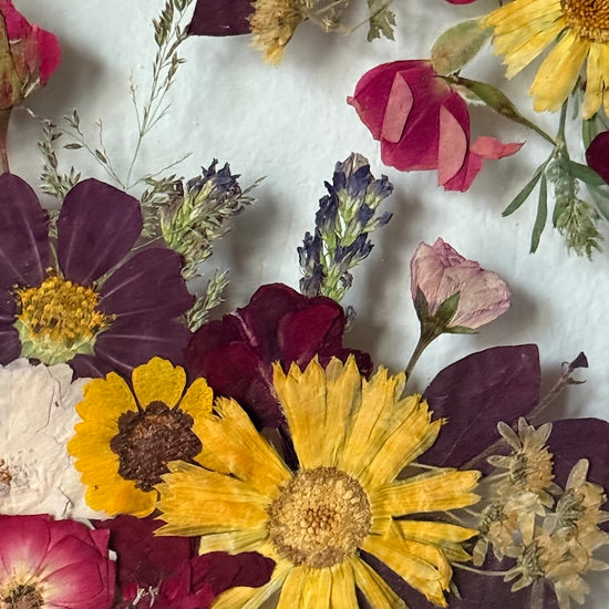 Červánky nad loukou snů