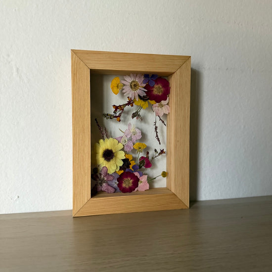 Divoká čarokvítka