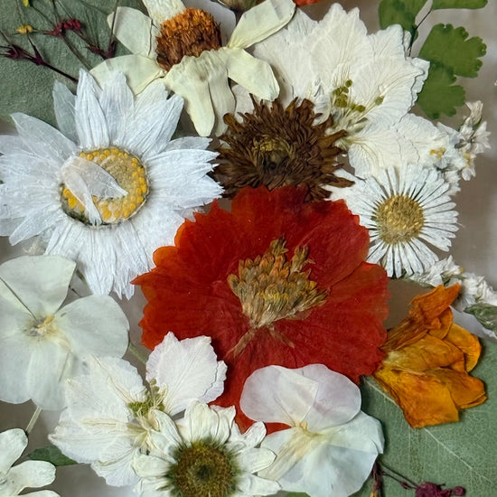 V teplém pokojíčku a sněží za oknem