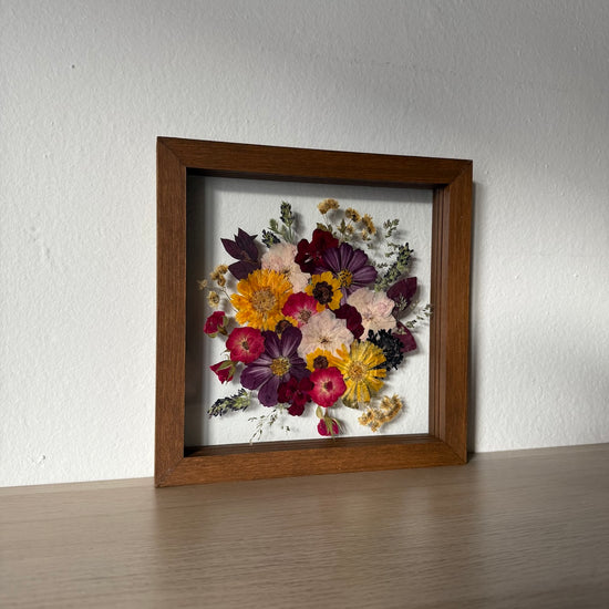 Má krásná představo