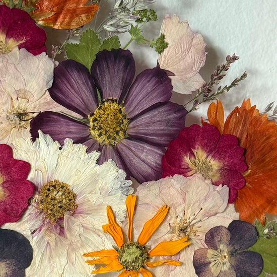 Na střeše světa usínáš