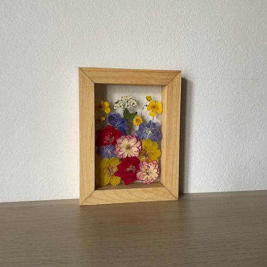 Pod naším okýnkem rozkvetla louka