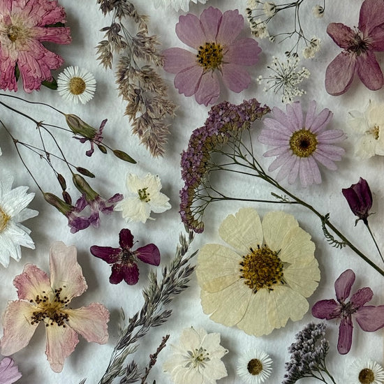 Vaň, větříčku, vaň