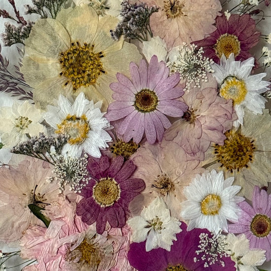 Travinové okouzlení