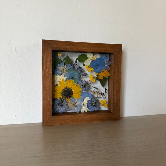 Čemeřičí kopeček