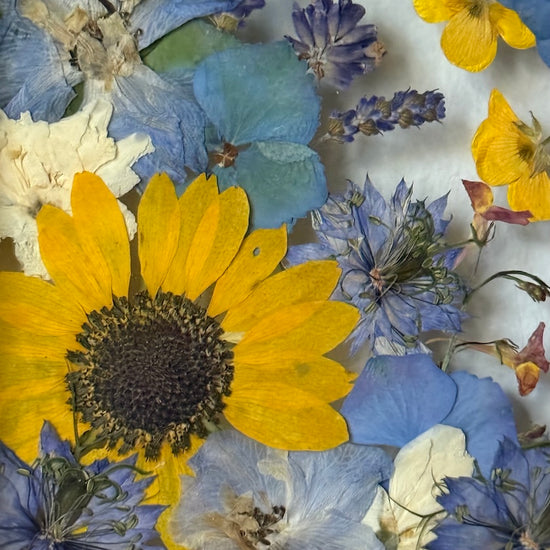 Čemeřičí kopeček