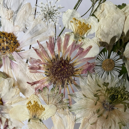 Nejjasnější myšlenky