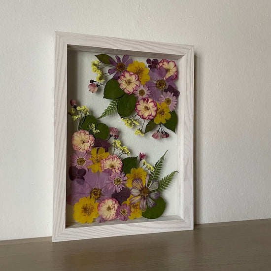 Kapradinky jako dirigenti květinové sonáty