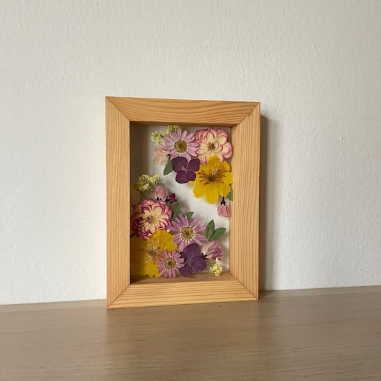 Setkání hortenzií v parném odpoledni