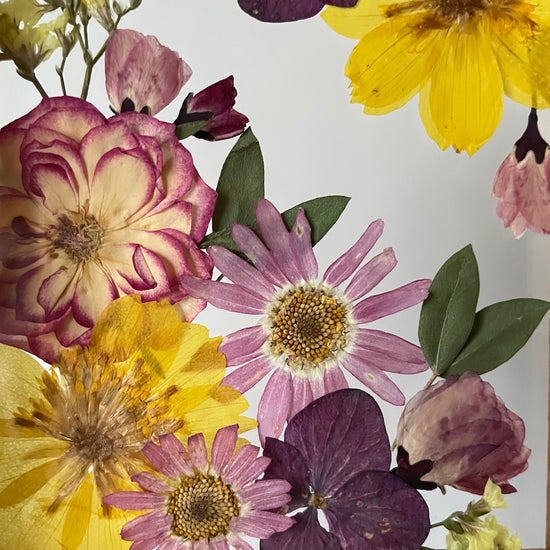 Setkání hortenzií v parném odpoledni