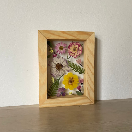 Pohlazení od kapradinek