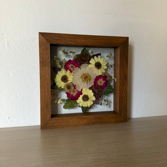 Jako malé lucerničky