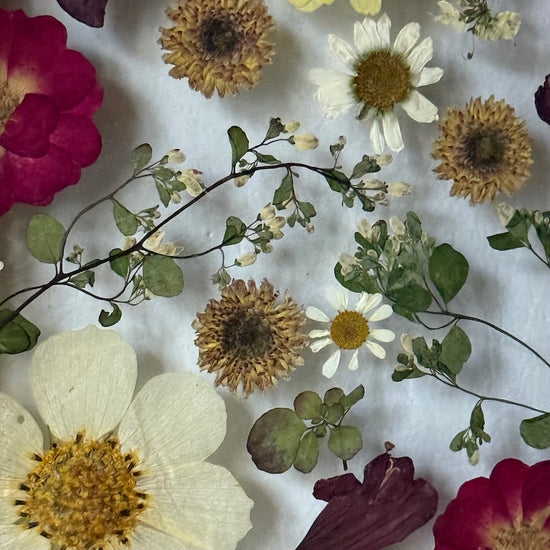 Jako vznešený květinový ornament