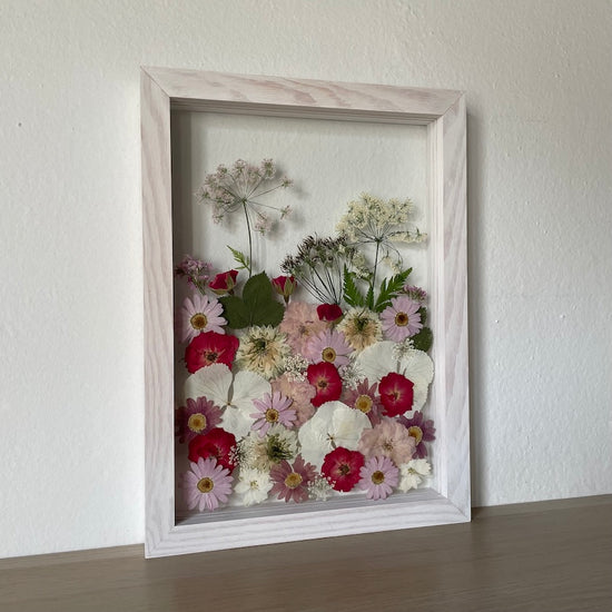 Bílé sny s červenými korunkami