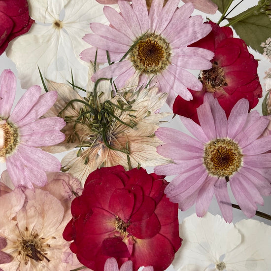 V tanci mezi sněhovými vločkami