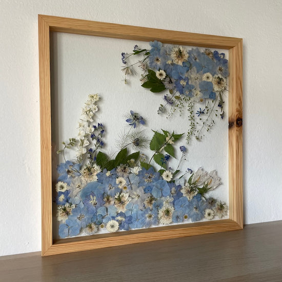 Kvítka jako zrozená z ledu