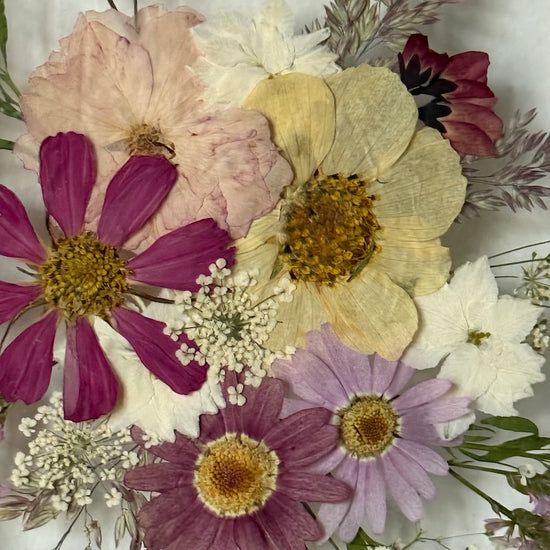 Křehká krása trvající na věky