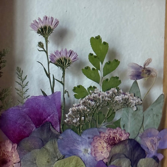 U potoka roste kvítí