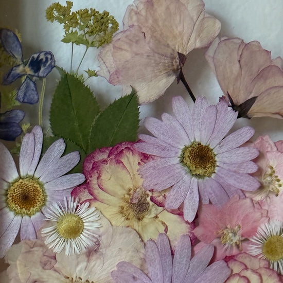 Třešňové kvítky pro radost