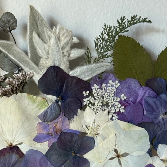 Dotekem Mrazíkovy hůlky