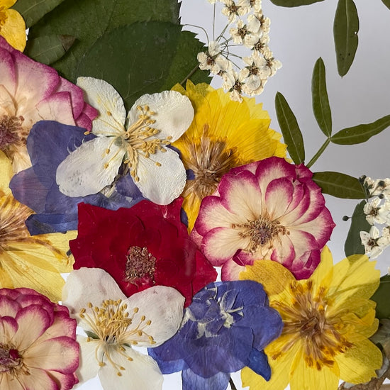 Pestrobarevné stužky léta