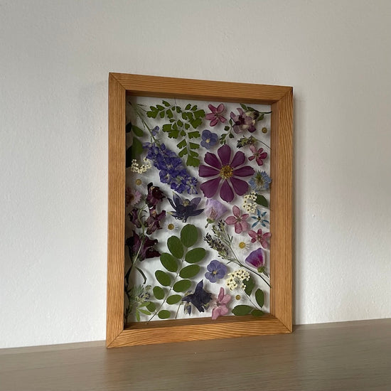 Krásenka krásná jediná