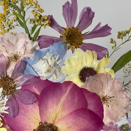 Květinové plesání