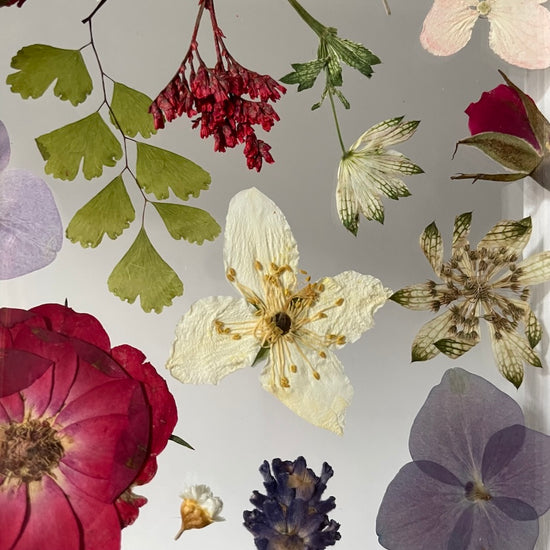 Levandulkou celý provoněný