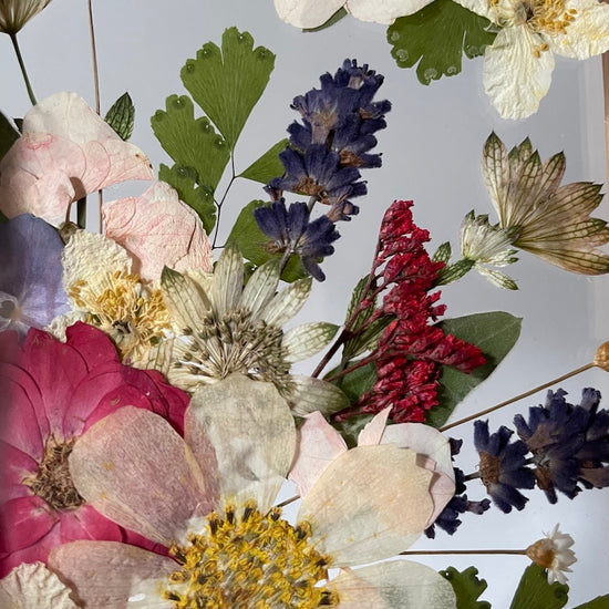 Roztomilá divočinka