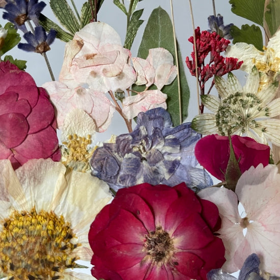 Jako babiččina zahrádka