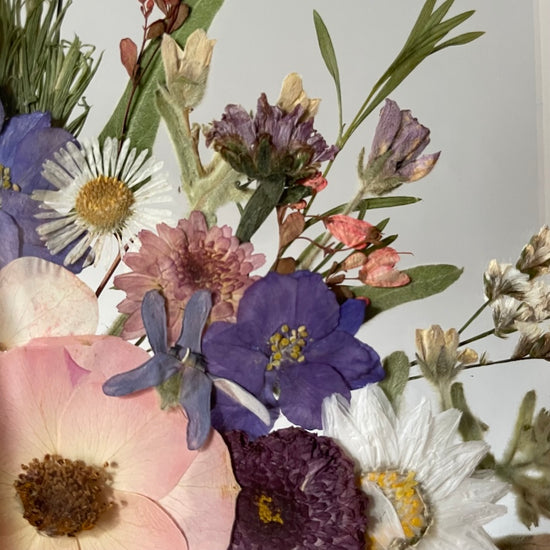 Ze světa pod hladinou