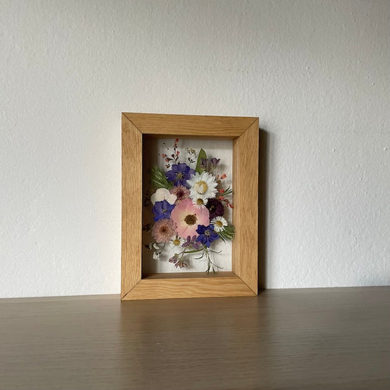 Jen tři modré ostrožky