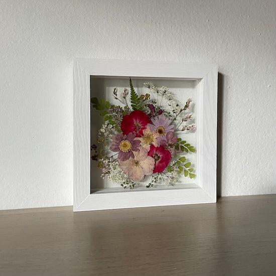 Červená se klokočí