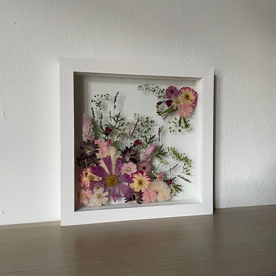 Třapatkové růžovo