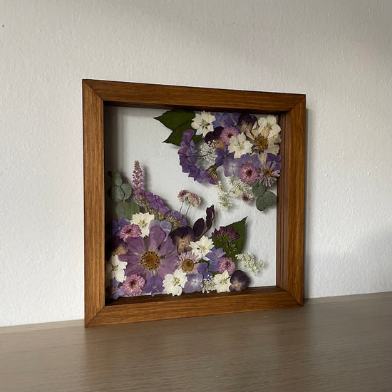 Protichůdnost ve fialové