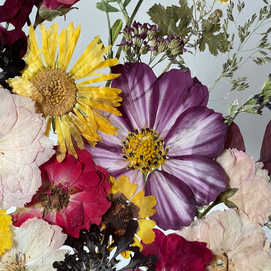 Rozcuchaná krajinka