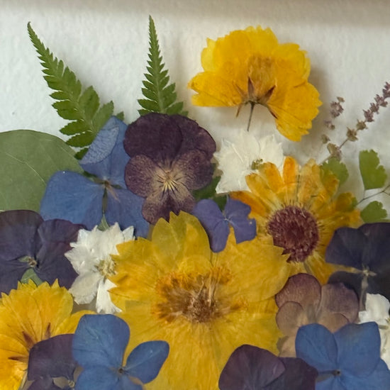 Hřejivé hvězdy mezi oblaky