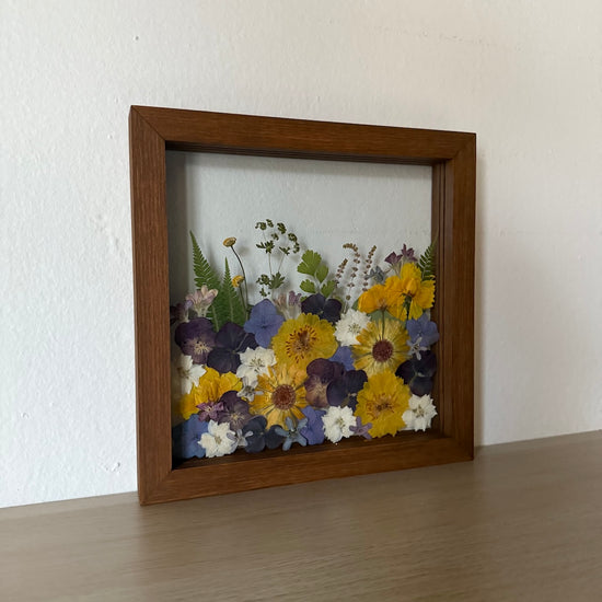 Půlnoční zahrada snů