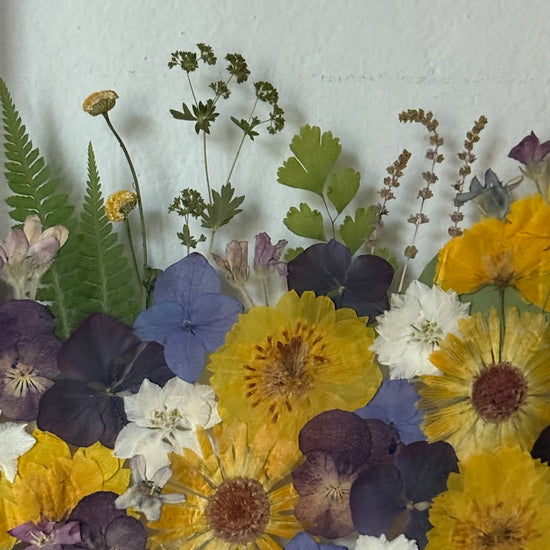 Půlnoční zahrada snů