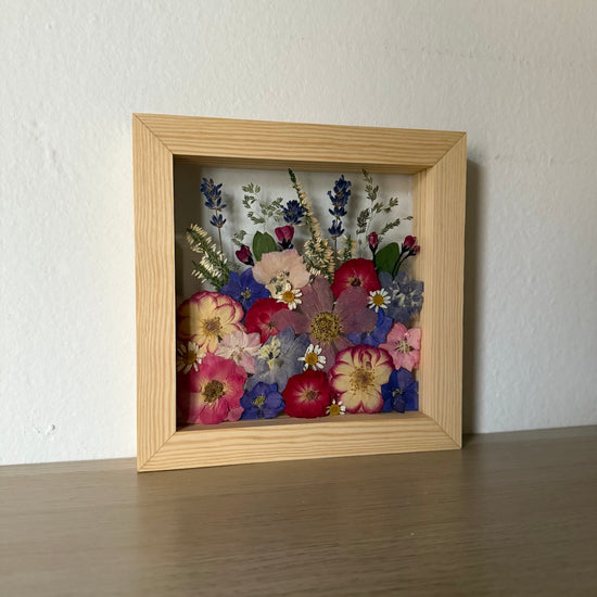 Pole plné levandulové květeny