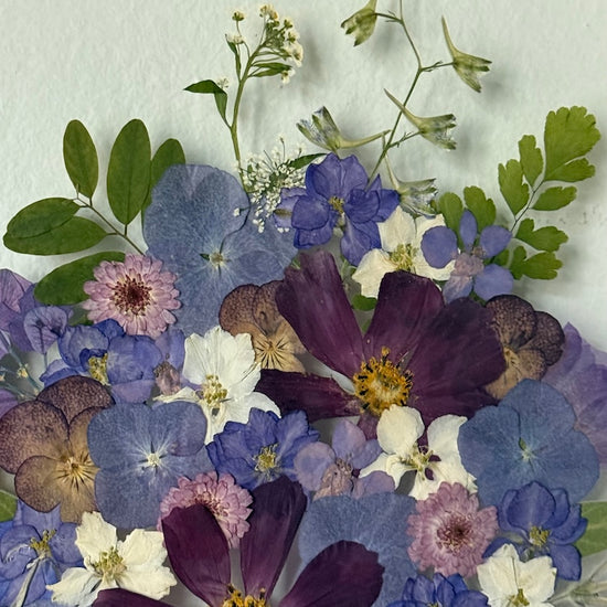 Rozpuk nočních květů