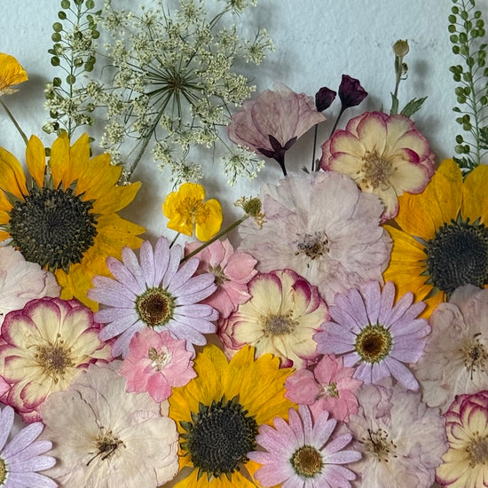 Balada o ptáčcích