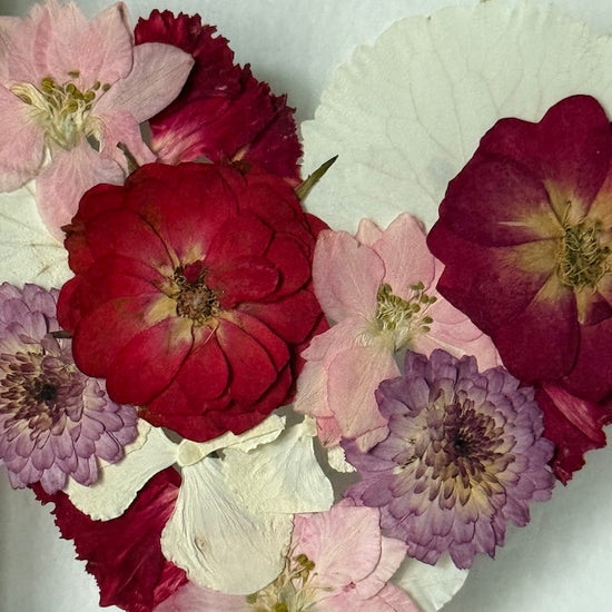 Malé srdce, velká láska